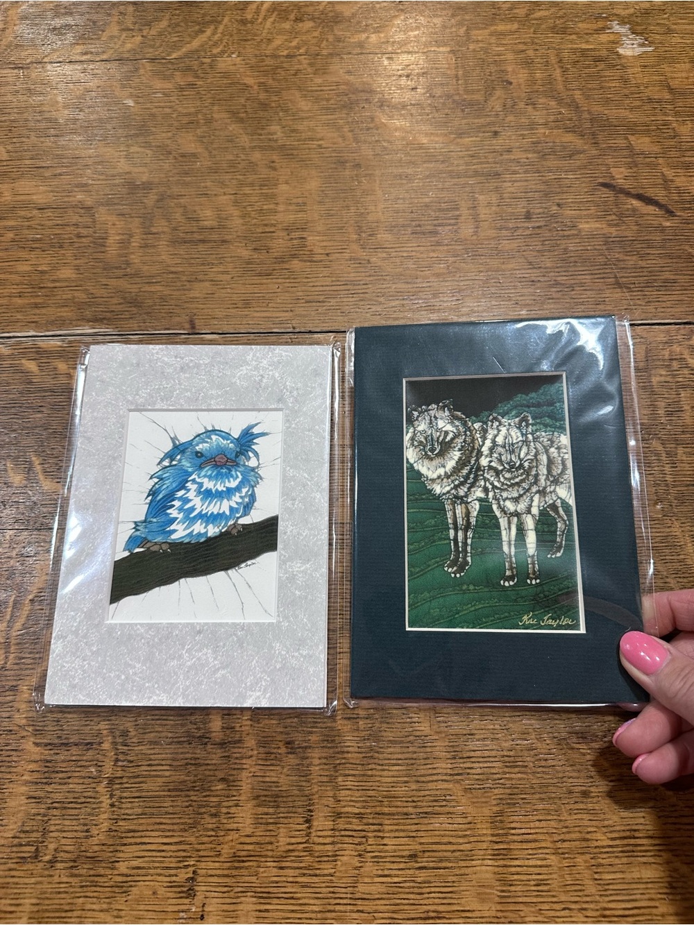 Set of Two Framed Animal Art Prints - Blue Bird & Wolves